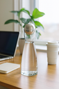 Ypsilon water.webp